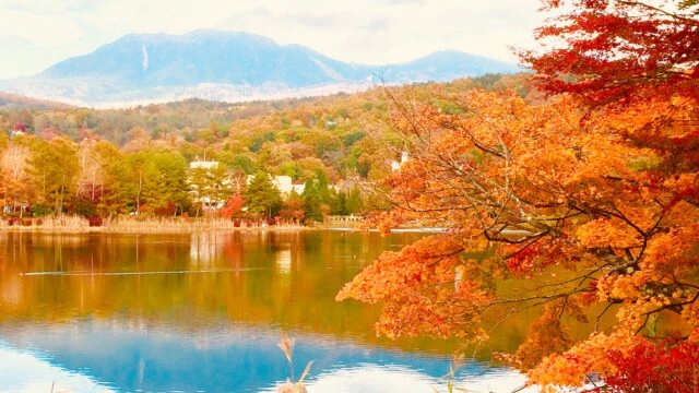 日本の秋を満喫する方法｜紅葉・祭り・食文化から知る日本人ならではの楽しみ方